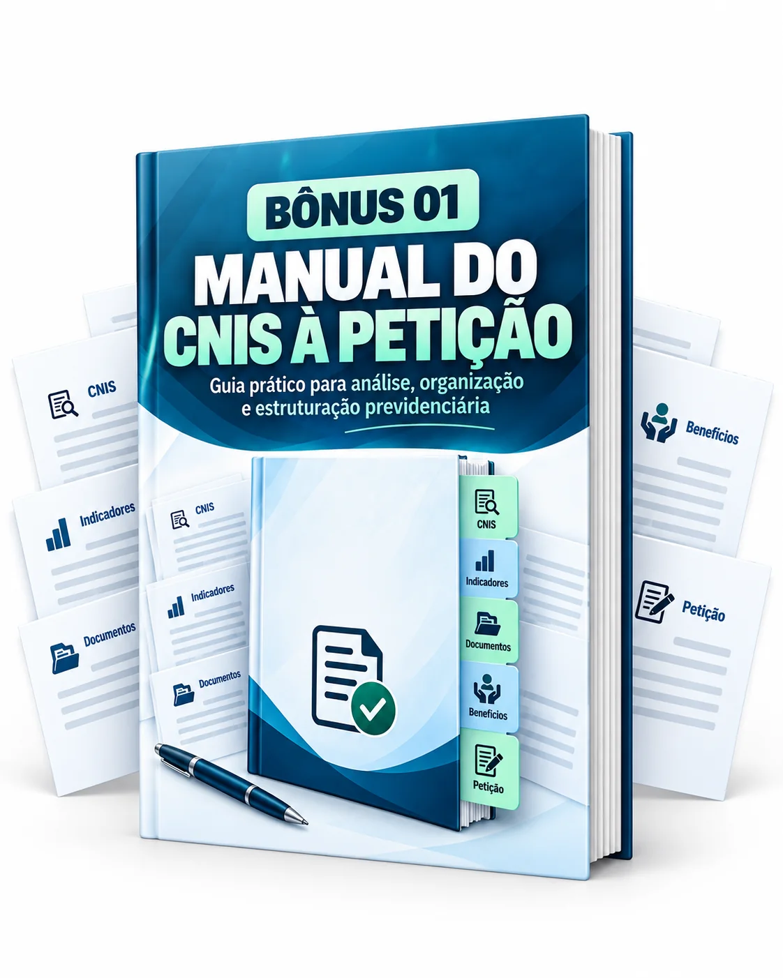 Manual do CNIS à Petição