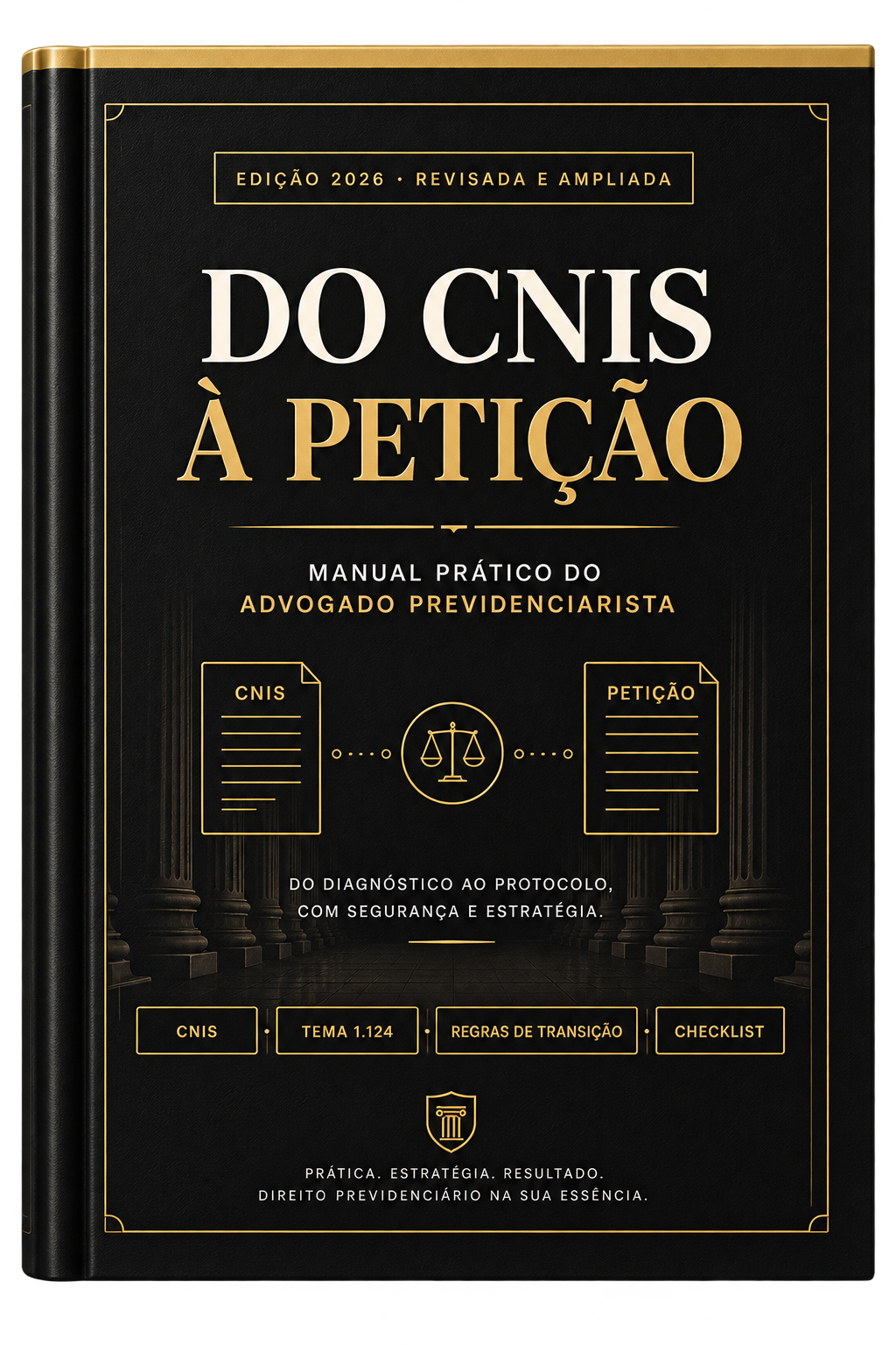Capa do manual Do CNIS à Petição